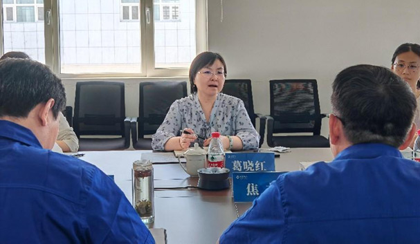 中國醫(yī)藥總會(huì)計(jì)師葛曉紅一行調(diào)研天山藥業(yè)